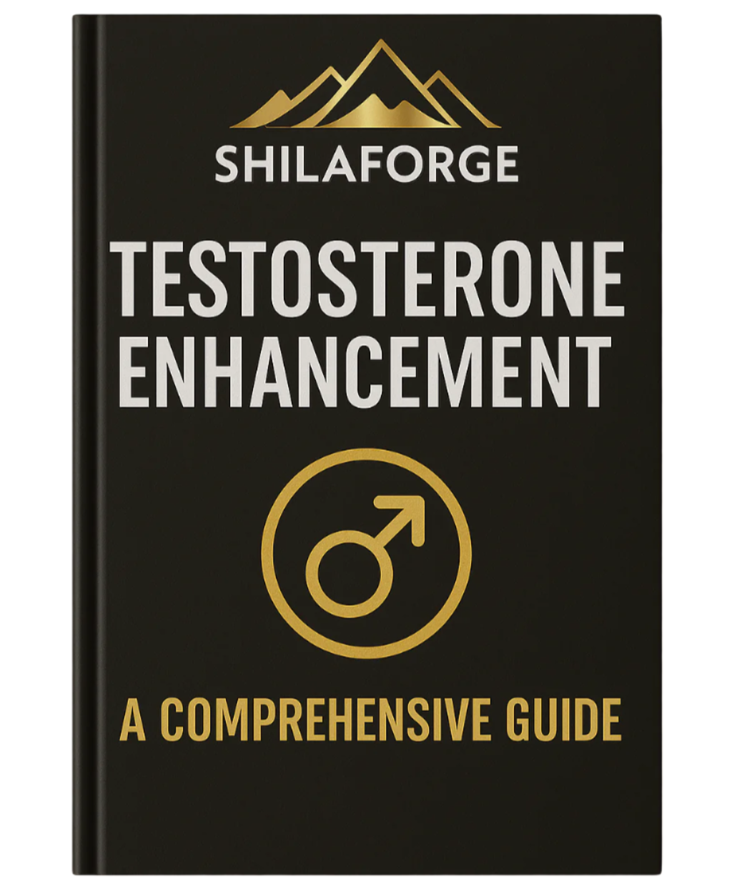 real_ebook_shilforge