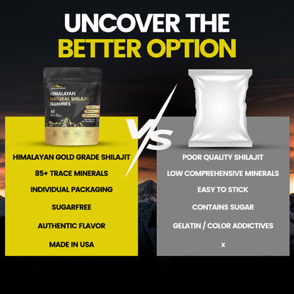 Shilaforge Shilajit Gummies