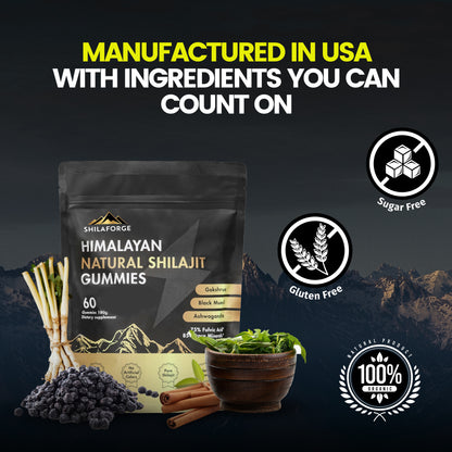 Shilaforge Shilajit Gummies