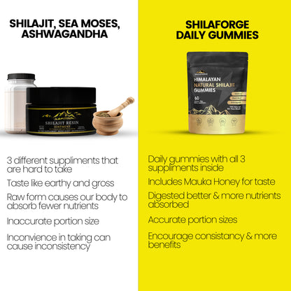 Shilaforge Shilajit Gummies