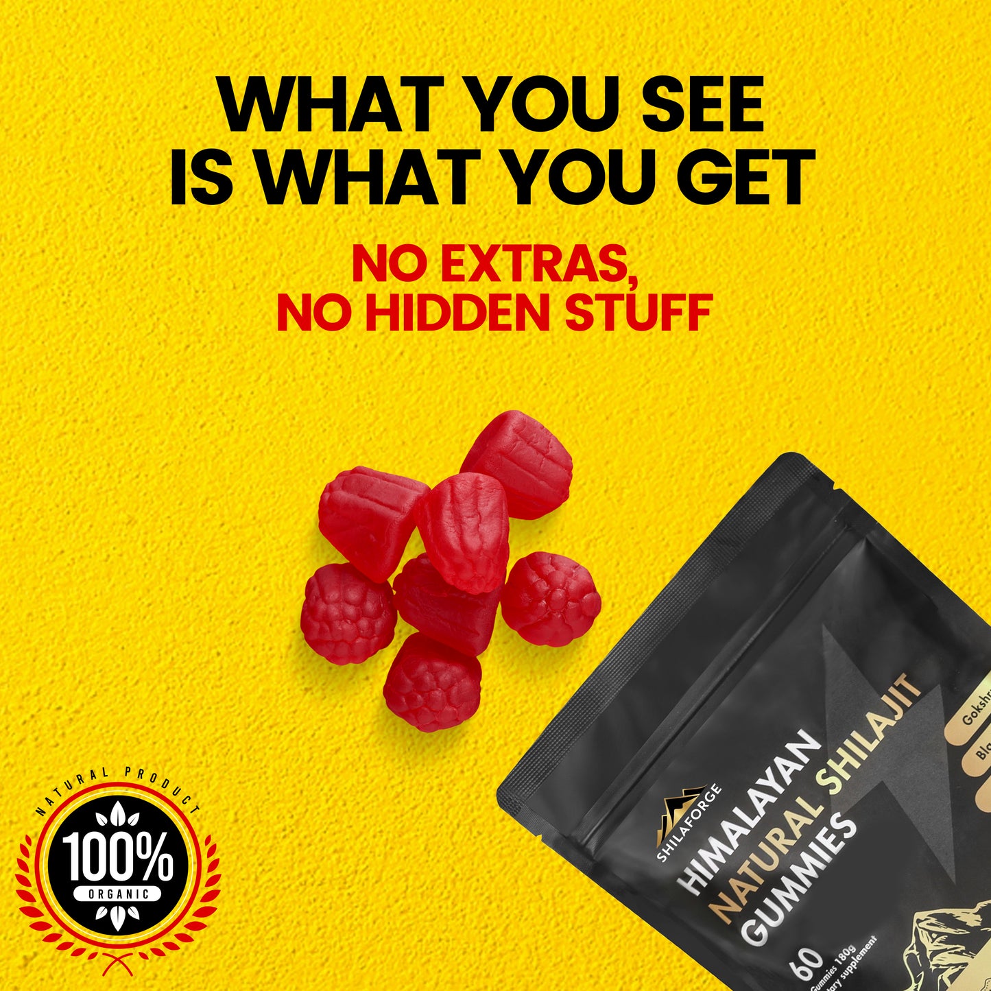 Shilaforge Shilajit Gummies
